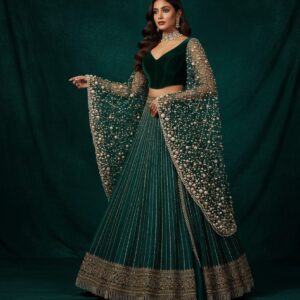 Rajkumari Sandstone Heritage Lehenga