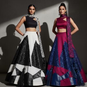 Duality Noir Panel Lehenga Set
